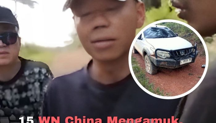 Bersenjata Tajam hingga Alat Setrum, 15 WNA China Serang TNI di Kawasan Tambang Emas Ketapang
